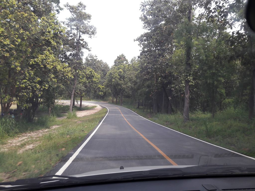 ภาพถนนตรงที่ Zipline Adventure ตั้งอยู่ ถ่ายโดย noochjaree พ.ศ. 2561 (2018) · A street-level view of where Zipline Adventure stands, by noochjaree in 2561 (2018)
