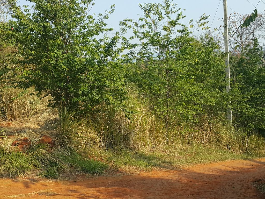 ภาพถนนตรงที่ MAKO Hill ตั้งอยู่ ถ่ายโดย jrcarlsen พ.ศ. 2559 (2016) · A street-level view of where MAKO Hill stands, by jrcarlsen in 2559 (2016)