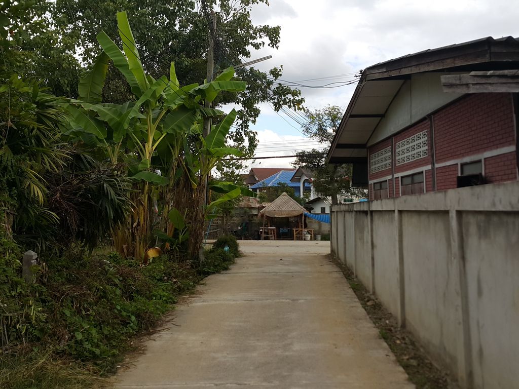 ภาพถนนตรงที่ บ้านร้องขี้เหล็ก ดอยสะเก็ด ตั้งอยู่ ถ่ายโดย jrcarlsen พ.ศ. 2558 (2015) · A street-level view of where บ้านร้องขี้เหล็ก ดอยสะเก็ด · Ban Rongkhilek Doi Saket stands, by jrcarlsen in 2558 (2015)