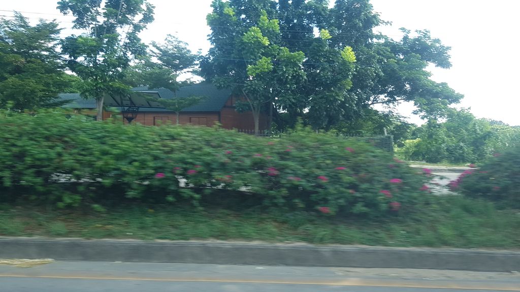 ภาพถนนตรงที่ Royal Cat Grooming & Hotel ตั้งอยู่ ถ่ายโดย rororo พ.ศ. 2562 (2019) · A street-level view of where Royal Cat Grooming & Hotel stands, by rororo in 2562 (2019)