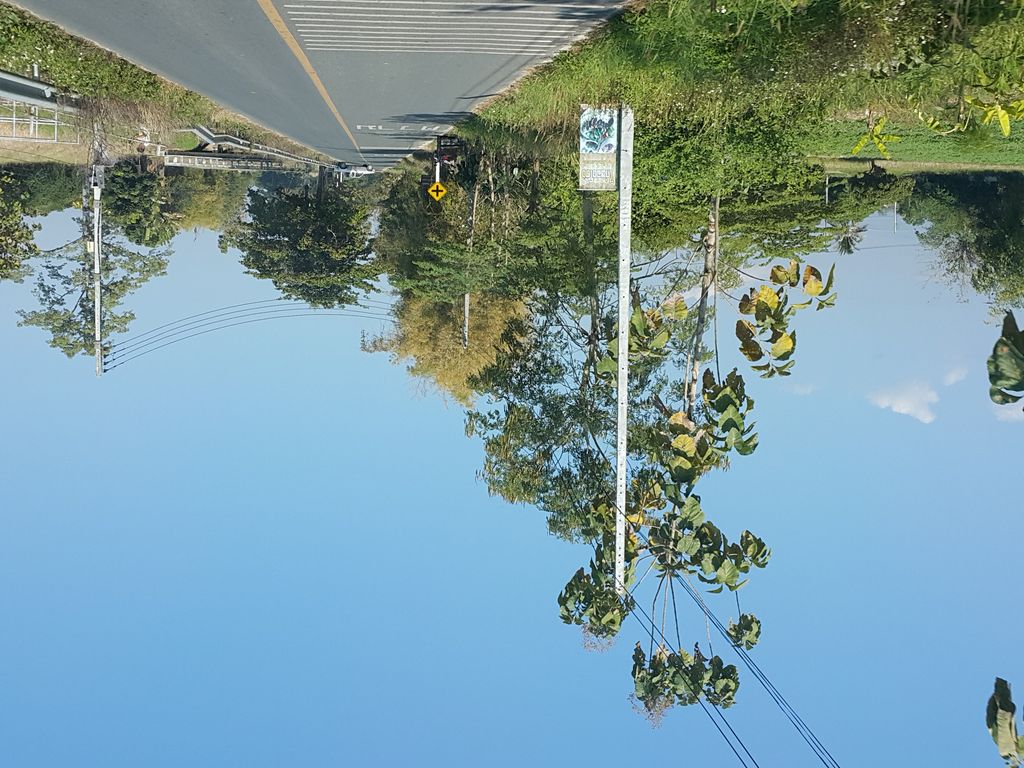 ภาพถนนตรงที่ ลาบหลงโต้ง ตั้งอยู่ ถ่ายโดย jrcarlsen พ.ศ. 2558 (2015) · A street-level view of where ลาบหลงโต้ง · Laplongtong stands, by jrcarlsen in 2558 (2015)