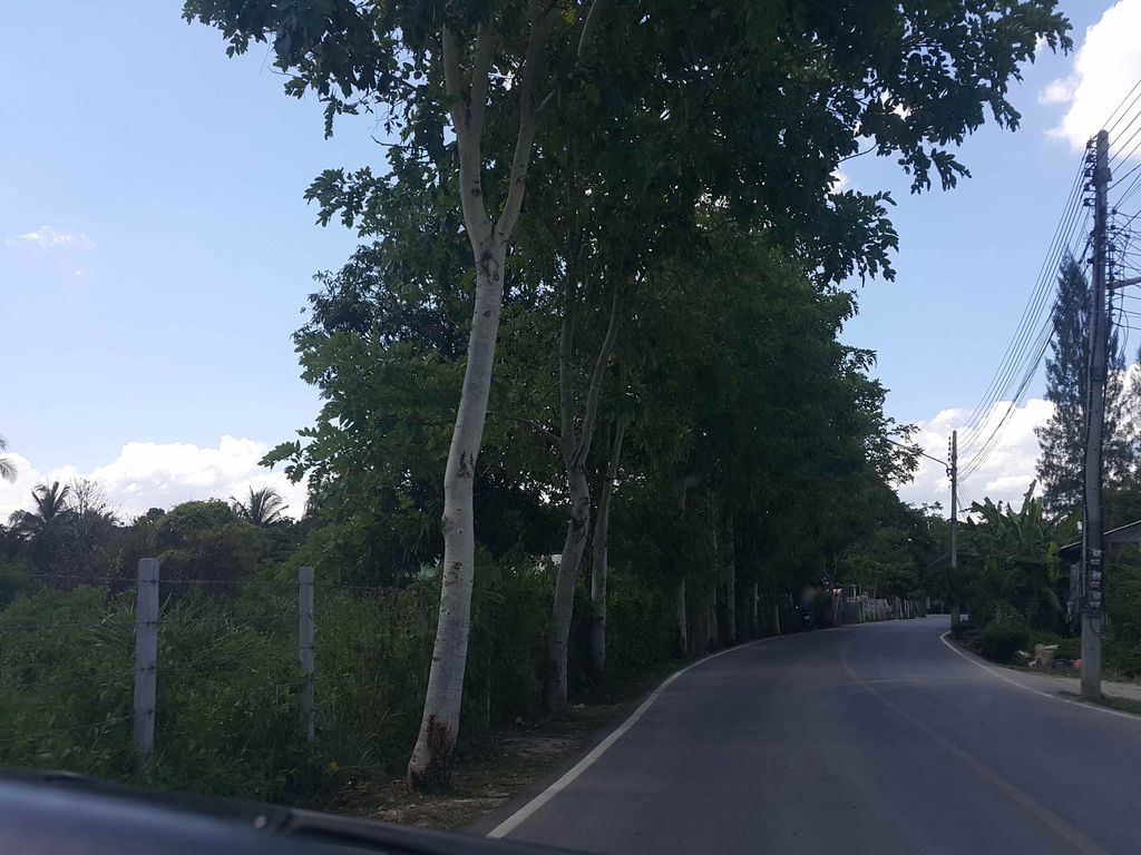 ภาพถนนตรงที่ My Wine My Somtum ตั้งอยู่ ถ่ายโดย jrcarlsen พ.ศ. 2558 (2015) · A street-level view of where My Wine My Somtum stands, by jrcarlsen in 2558 (2015)