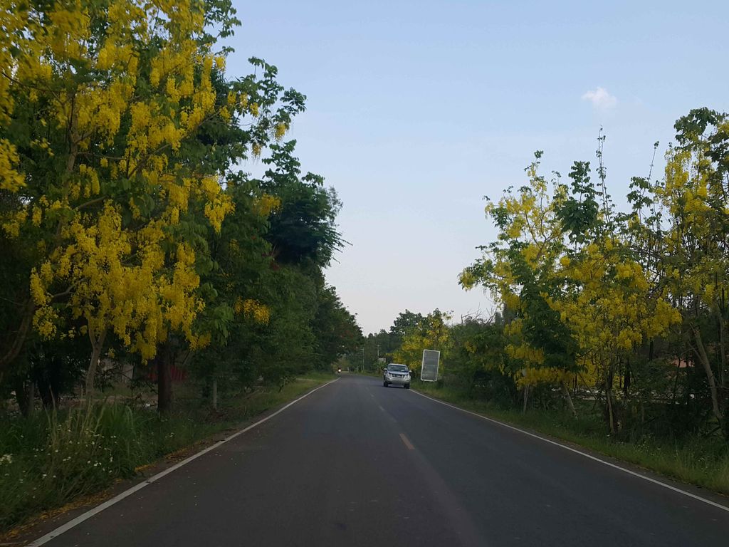 ภาพถนนตรงที่ บ้านทุ่งเศียรเอราวัณ ตั้งอยู่ ถ่ายโดย jrcarlsen พ.ศ. 2558 (2015) · A street-level view of where บ้านทุ่งเศียรเอราวัณ · Ban Thung Sian Eraona stands, by jrcarlsen in 2558 (2015)