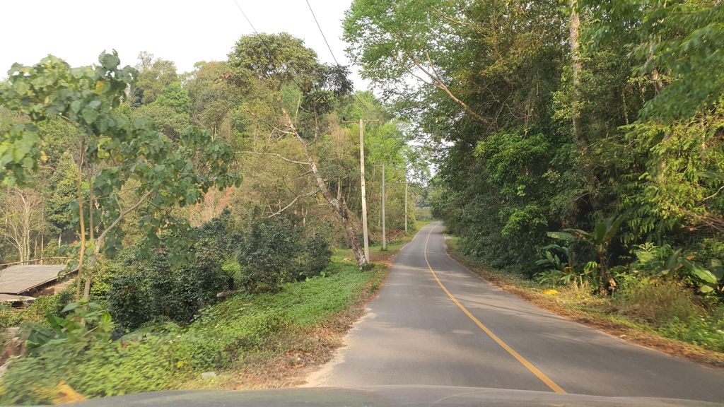 ภาพถนนตรงที่ Phupha Estate ตั้งอยู่ ถ่ายโดย jrcarlsen พ.ศ. 2565 (2022) · A street-level view of where Phupha Estate stands, by jrcarlsen in 2565 (2022)