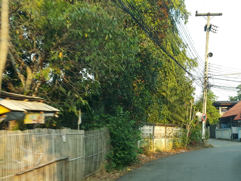 ภาพถนนตรงที่ ซ่อมโช๊คเชียงใหม่ ตั้งอยู่ ถ่ายโดย jrcarlsen พ.ศ. 2559 (2016) · A street-level view of where ซ่อมโช๊คเชียงใหม่ · Som Chok Chiang Mai stands, by jrcarlsen in 2559 (2016)