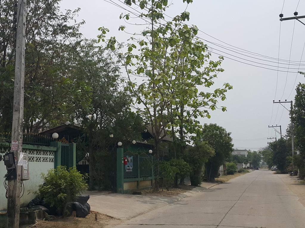 ภาพถนนตรงที่ 167 Treble Clef Studio ตั้งอยู่ ถ่ายโดย jrcarlsen พ.ศ. 2559 (2016) · A street-level view of where 167 Treble Clef Studio stands, by jrcarlsen in 2559 (2016)