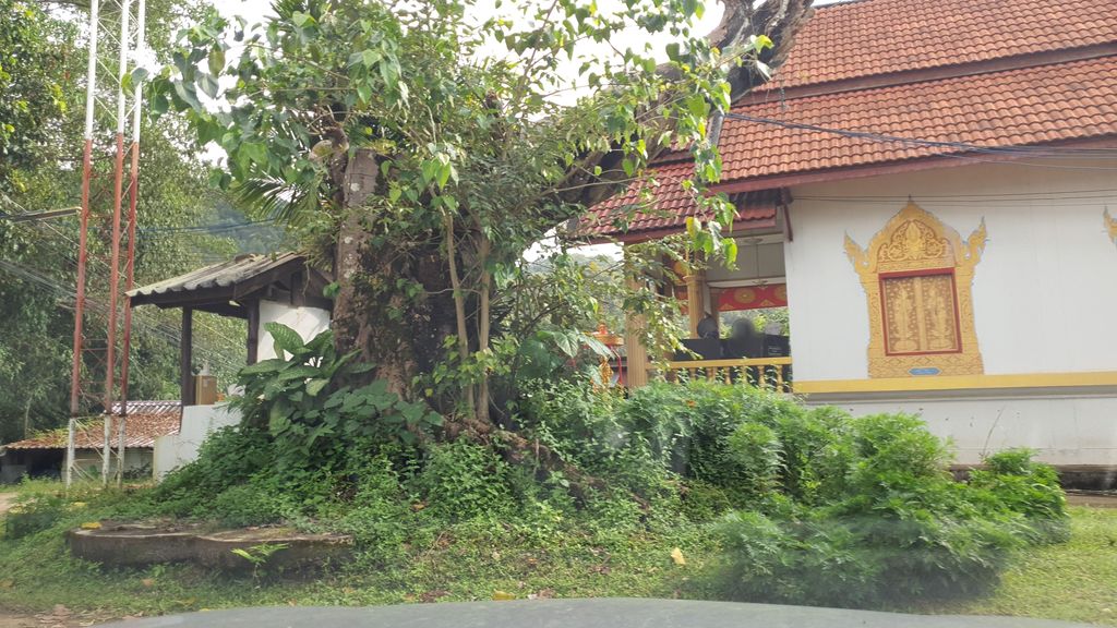 ภาพถนนตรงที่ สำนักสงฆ์วัดน้ำโค้ง ตั้งอยู่ ถ่ายโดย jrcarlsen พ.ศ. 2564 (2021) · A street-level view of where สำนักสงฆ์วัดน้ำโค้ง · Wat Nam Khong Monastic residence stands, by jrcarlsen in 2564 (2021)