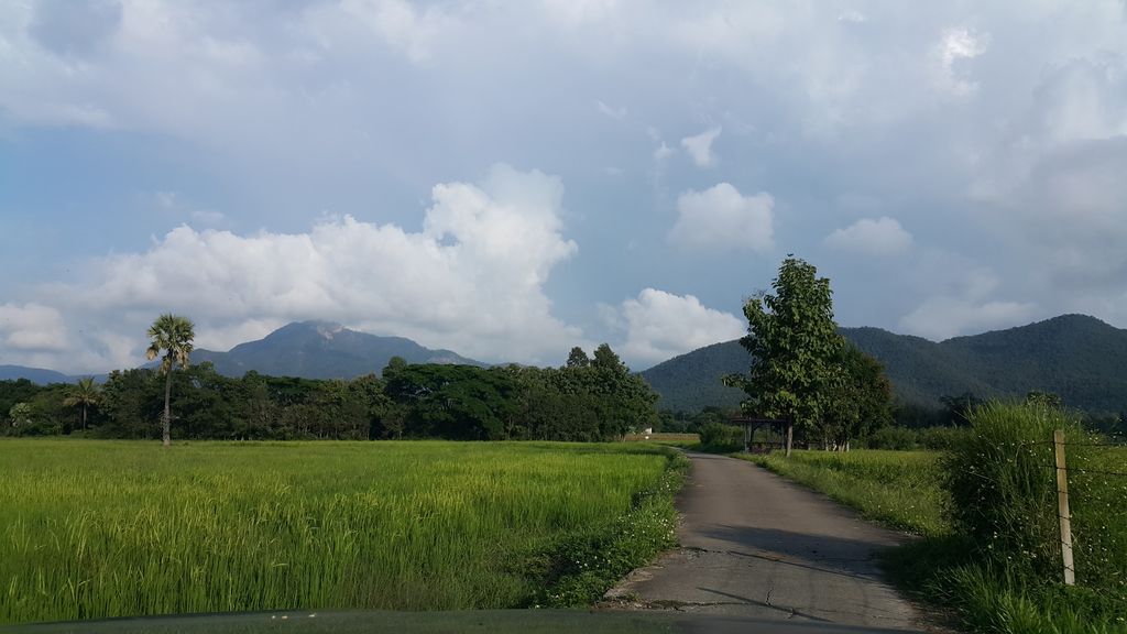 ภาพถนนตรงที่ Kin Pu Do Na ตั้งอยู่ ถ่ายโดย jrcarlsen พ.ศ. 2559 (2016) · A street-level view of where Kin Pu Do Na stands, by jrcarlsen in 2559 (2016)