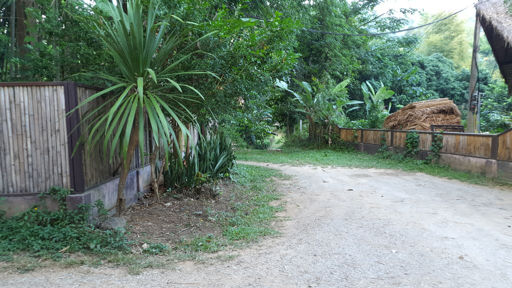 ภาพถนนตรงที่ Chiang Dao Nest 1 ตั้งอยู่ ถ่ายโดย jrcarlsen พ.ศ. 2562 (2019) · A street-level view of where Chiang Dao Nest 1 stands, by jrcarlsen in 2562 (2019)