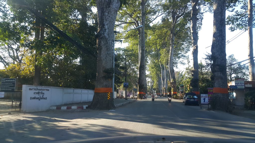 ภาพถนนตรงที่ สารภีเคมีเกษตร ตั้งอยู่ ถ่ายโดย jrcarlsen พ.ศ. 2562 (2019) · A street-level view of where สารภีเคมีเกษตร · Saraphi Khemiketta stands, by jrcarlsen in 2562 (2019)