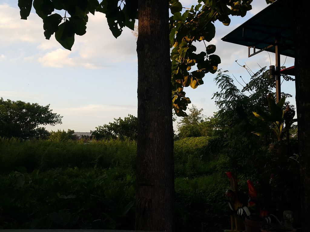 ภาพถนนตรงที่ เจริญหัว บาร์เบอร์ สาขา 1 แยกไฟแดงป่าไผ่ สันกำแพง ตั้งอยู่ ถ่ายโดย jrcarlsen พ.ศ. 2558 (2015) · A street-level view of where เจริญหัว บาร์เบอร์ สาขา 1 แยกไฟแดงป่าไผ่ สันกำแพง · Charoen Hua Barber Sakha 1 Yaekfaidaeng Pa Phai San Kamphaeng stands, by jrcarlsen in 2558 (2015)