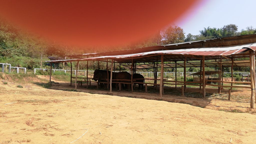 ภาพถนนตรงที่ Karen Hilltribe Elephant Sanctuary ตั้งอยู่ ถ่ายโดย elotrojames พ.ศ. 2562 (2019) · A street-level view of where Karen Hilltribe Elephant Sanctuary stands, by elotrojames in 2562 (2019)