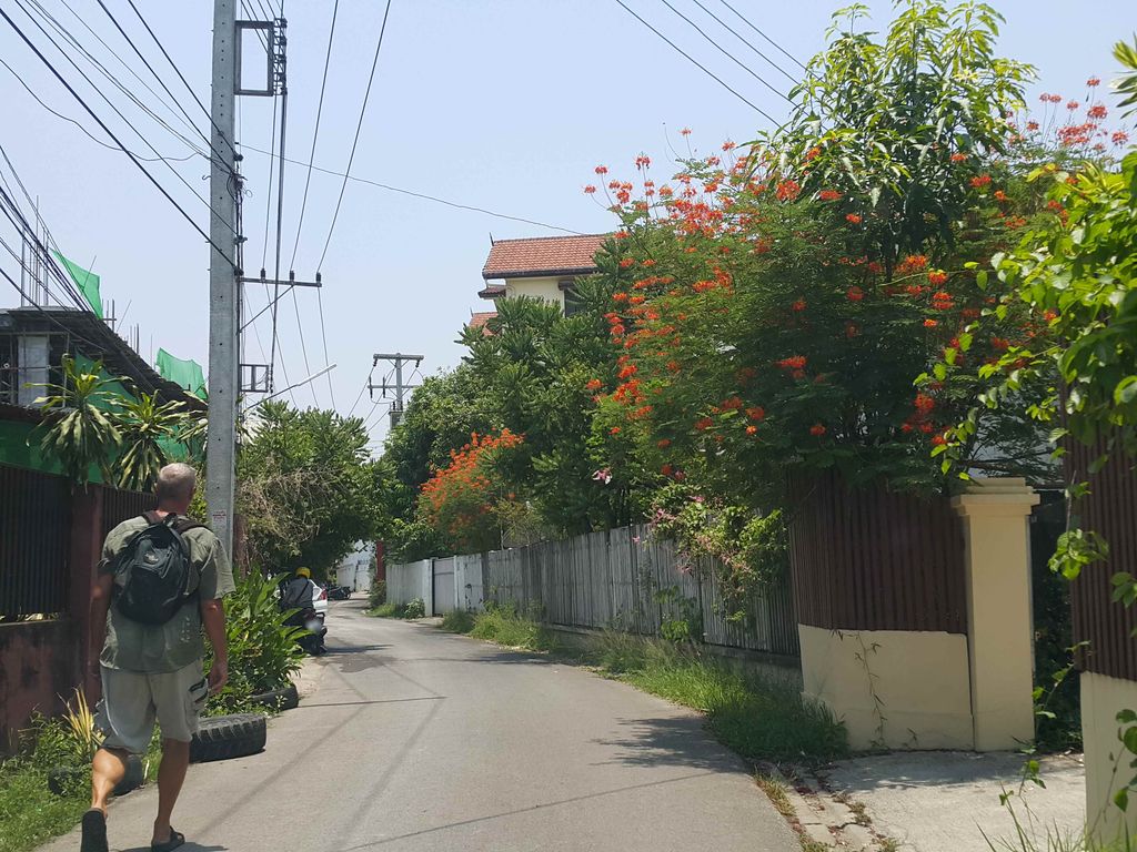 ภาพถนนตรงที่ RINO- Casual brunch, fresh pasta & wine ตั้งอยู่ ถ่ายโดย jrcarlsen พ.ศ. 2558 (2015) · A street-level view of where RINO- Casual brunch, fresh pasta & wine stands, by jrcarlsen in 2558 (2015)