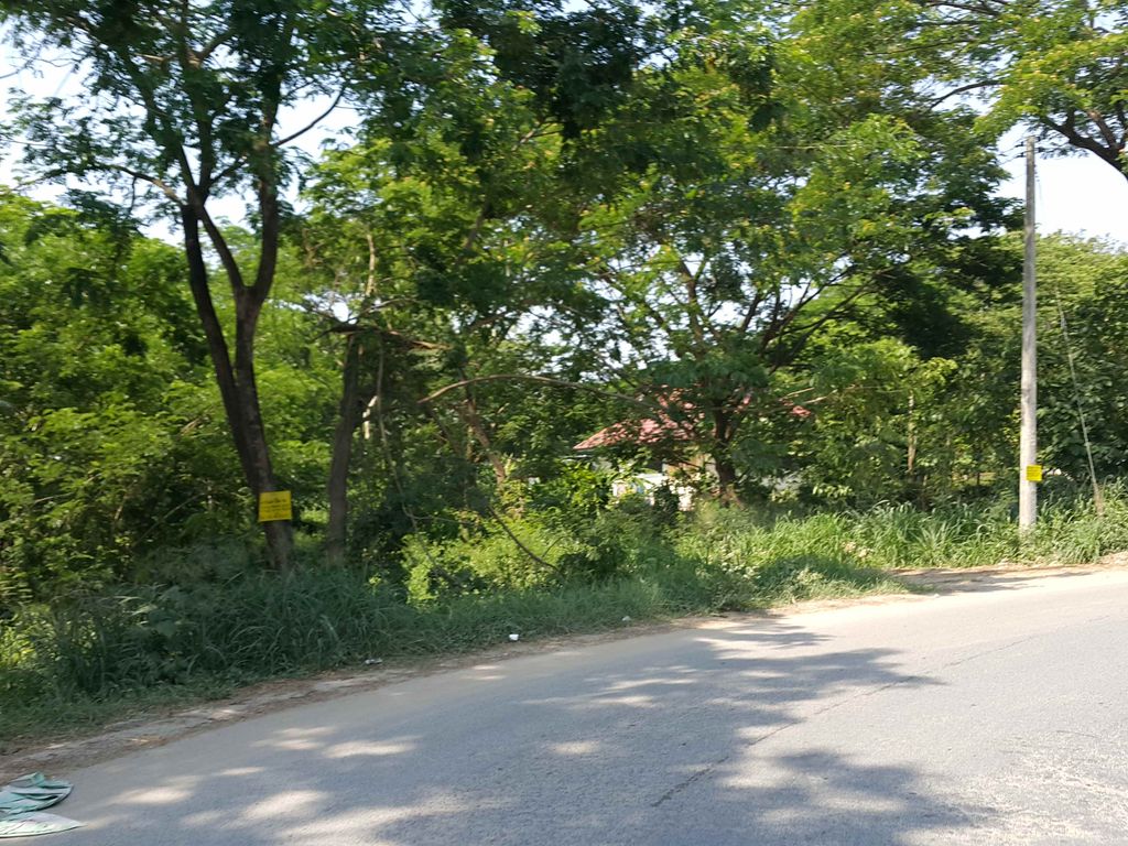 ภาพถนนตรงที่ Shevadee at ป่าแดด ตั้งอยู่ ถ่ายโดย jrcarlsen พ.ศ. 2558 (2015) · A street-level view of where Shevadee at ป่าแดด stands, by jrcarlsen in 2558 (2015)