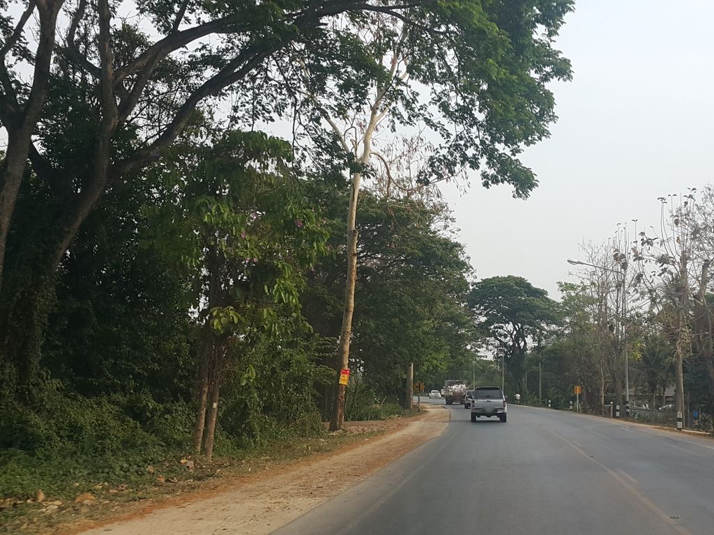 ภาพถนนตรงที่ แกงป่าบ้านนายก ตั้งอยู่ ถ่ายโดย jrcarlsen พ.ศ. 2559 (2016) · A street-level view of where แกงป่าบ้านนายก · Kaengpa Ban Naika stands, by jrcarlsen in 2559 (2016)
