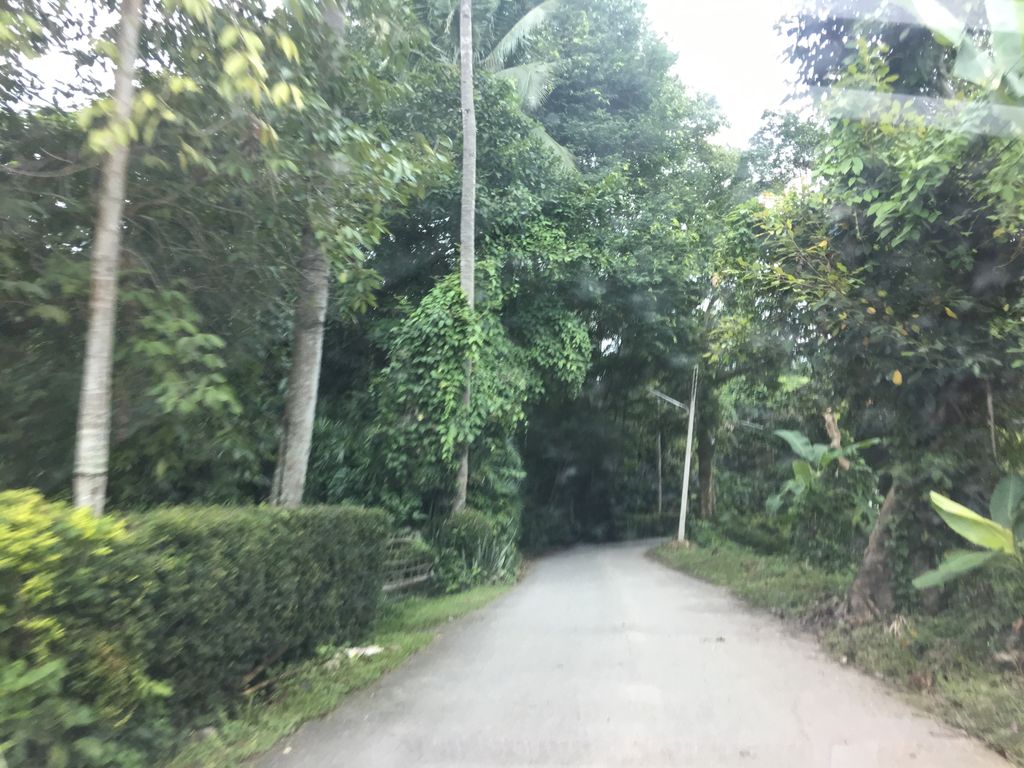 ภาพถนนตรงที่ บ้านไอติมลุงอิ๊ด ตั้งอยู่ ถ่ายโดย wapriz พ.ศ. 2561 (2018) · A street-level view of where บ้านไอติมลุงอิ๊ด · Ban Aitim Lung It stands, by wapriz in 2561 (2018)