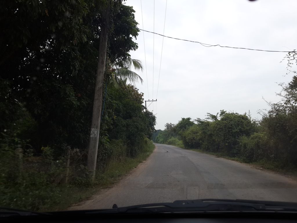 ภาพถนนตรงที่ คานิวัล คาเฟ่ ตั้งอยู่ ถ่ายโดย mishari พ.ศ. 2557 (2014) · A street-level view of where คานิวัล คาเฟ่ · Khaniola Café stands, by mishari in 2557 (2014)