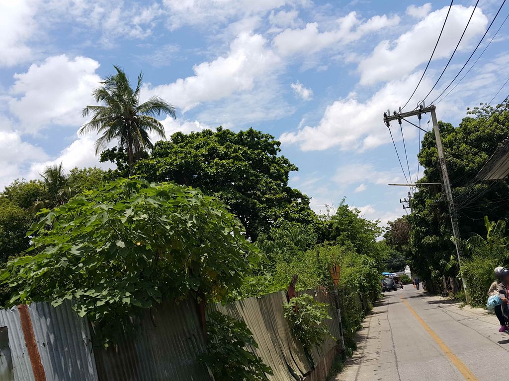 ภาพถนนตรงที่ ขาหมูภูเก็ต ปักษ์ใต้รสเด็ด สาขา บ.กุ้งเผาซีฟู๊ด ริมน้ำปิงเชียงใหม่ ตั้งอยู่ ถ่ายโดย jrcarlsen พ.ศ. 2558 (2015) · A street-level view of where ขาหมูภูเก็ต ปักษ์ใต้รสเด็ด สาขา บ.กุ้งเผาซีฟู๊ด ริมน้ำปิงเชียงใหม่ · Khamuphuket Paktai Rotdet Sakha Ba.kungphao Seafood Rim Nam Ping Chiang Mai stands, by jrcarlsen in 2558 (2015)