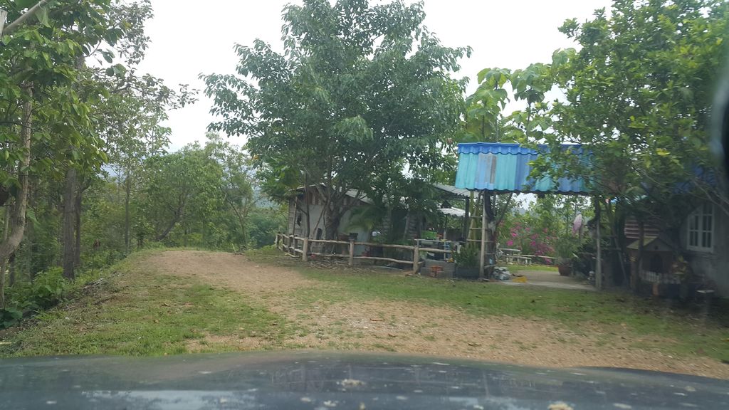 ภาพถนนตรงที่ Mon Cow Boy . ตั้งอยู่ ถ่ายโดย jrcarlsen พ.ศ. 2562 (2019) · A street-level view of where Mon Cow Boy . stands, by jrcarlsen in 2562 (2019)