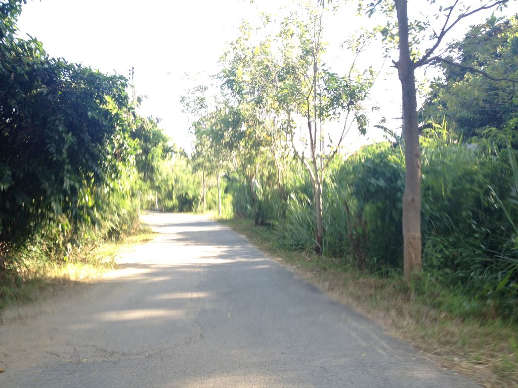 ภาพถนนตรงที่ บ้านสวนทหารม้า บ้านห้วยเสี้ยว ตั้งอยู่ ถ่ายโดย jimwatana พ.ศ. 2558 (2015) · A street-level view of where บ้านสวนทหารม้า บ้านห้วยเสี้ยว · Ban Suan Thahan Ma Ban Huai Siao stands, by jimwatana in 2558 (2015)