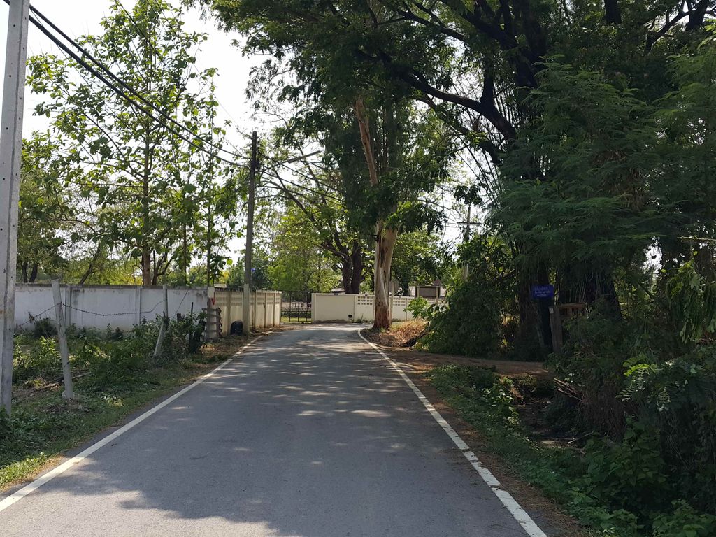 ภาพถนนตรงที่ Irene Property ตั้งอยู่ ถ่ายโดย jrcarlsen พ.ศ. 2558 (2015) · A street-level view of where Irene Property stands, by jrcarlsen in 2558 (2015)
