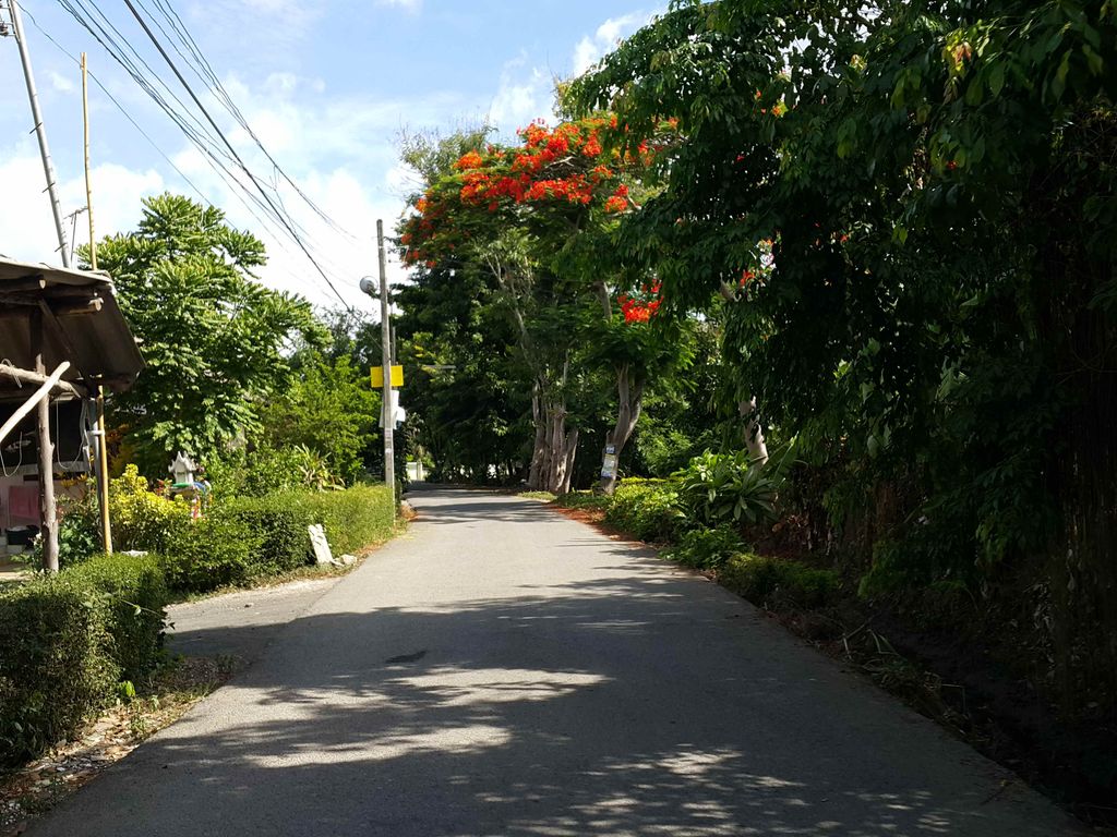 ภาพถนนตรงที่ ณ ลาบ เชียงใหม่ ตั้งอยู่ ถ่ายโดย jrcarlsen พ.ศ. 2558 (2015) · A street-level view of where ณ ลาบ เชียงใหม่ · Na Lap Chiang Mai stands, by jrcarlsen in 2558 (2015)