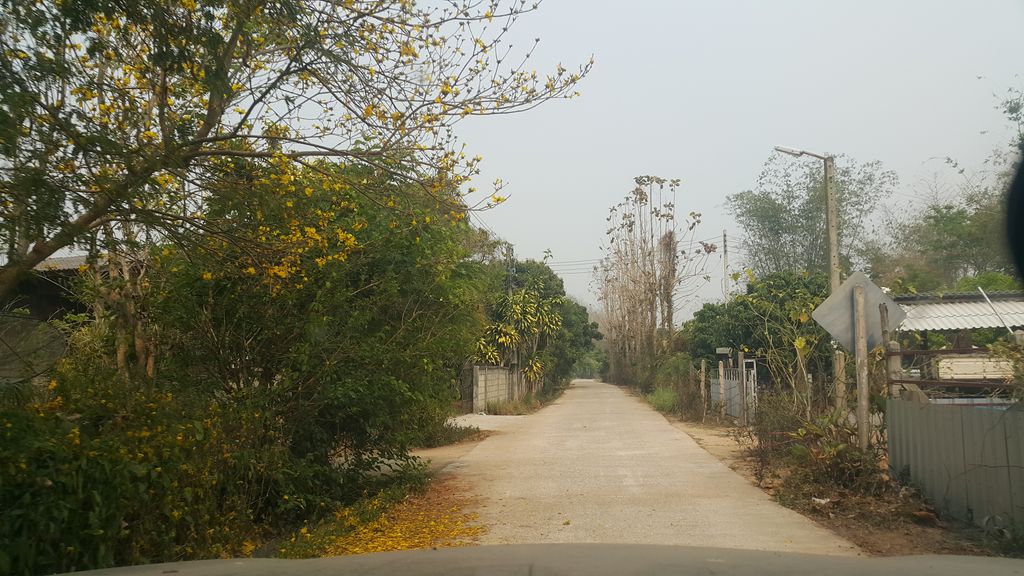 ภาพถนนตรงที่ Greennet Organic Center ตั้งอยู่ ถ่ายโดย jrcarlsen พ.ศ. 2562 (2019) · A street-level view of where Greennet Organic Center stands, by jrcarlsen in 2562 (2019)