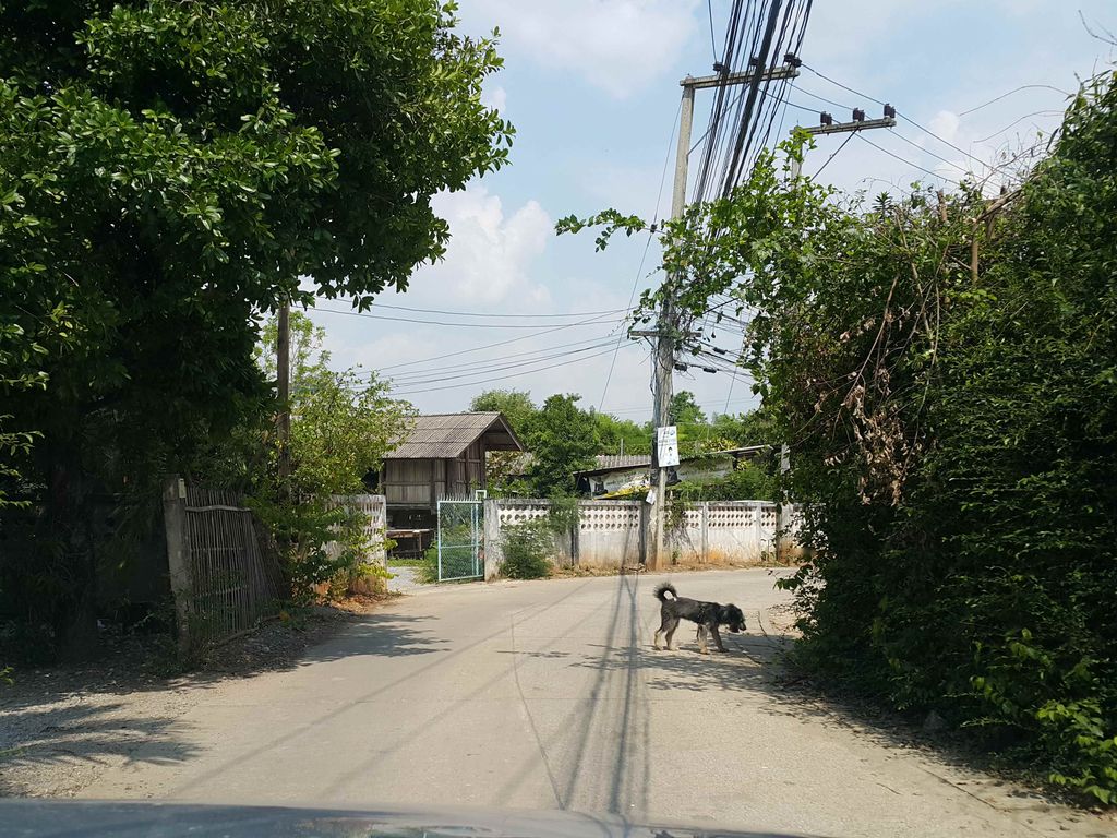 ภาพถนนตรงที่ ร้านลุงน้อยรัลป้าพิน ตั้งอยู่ ถ่ายโดย jrcarlsen พ.ศ. 2558 (2015) · A street-level view of where ร้านลุงน้อยรัลป้าพิน · Ran Lung Noi Ran Paphin stands, by jrcarlsen in 2558 (2015)