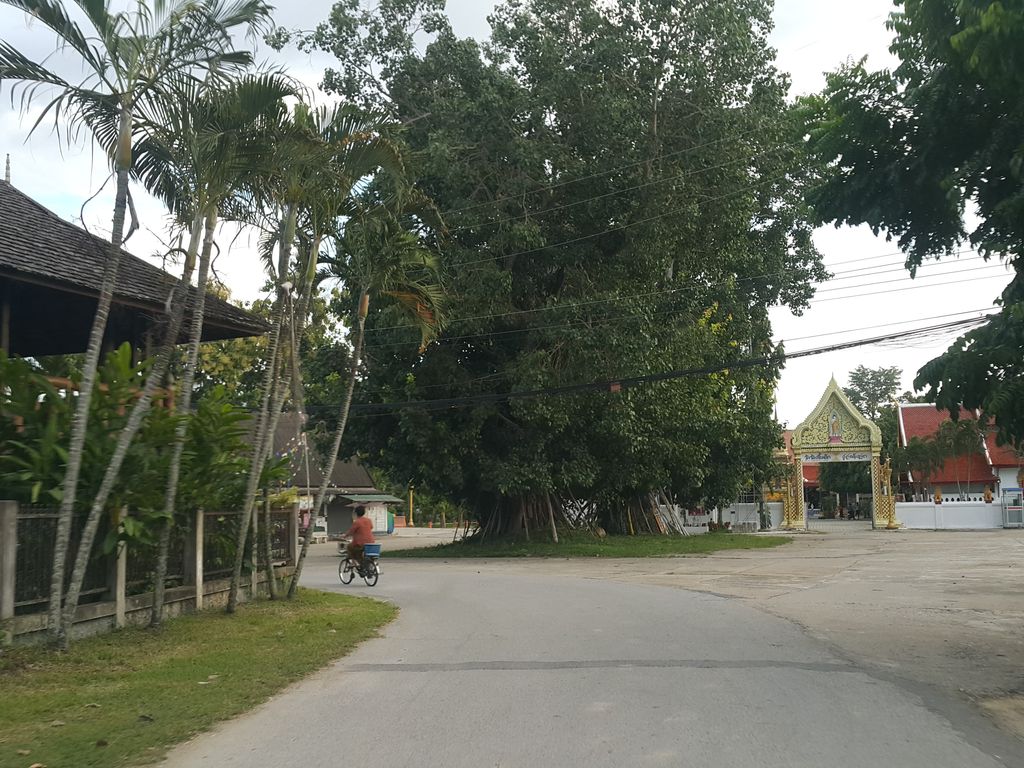 ภาพถนนตรงที่ ต่อขนตา ดอยสะเก็ด PY Studio ตั้งอยู่ ถ่ายโดย jrcarlsen พ.ศ. 2558 (2015) · A street-level view of where ต่อขนตา ดอยสะเก็ด PY Studio stands, by jrcarlsen in 2558 (2015)