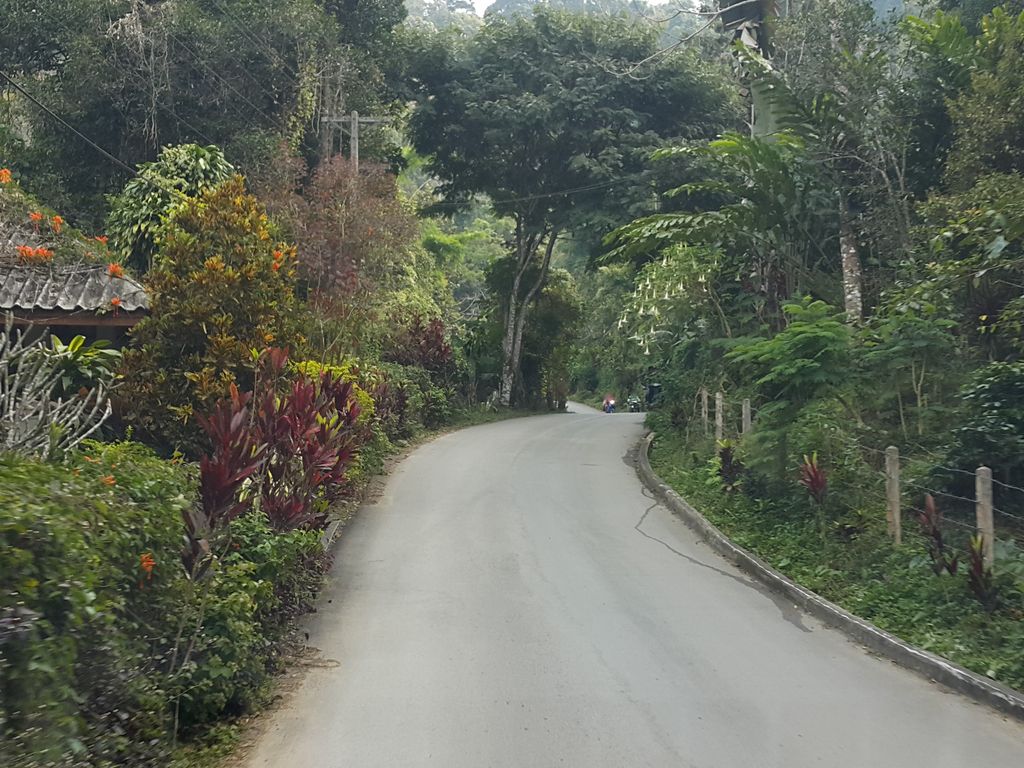 ภาพถนนตรงที่ Portare.home แม่กำปอง ตั้งอยู่ ถ่ายโดย jrcarlsen พ.ศ. 2558 (2015) · A street-level view of where Portare.home แม่กำปอง stands, by jrcarlsen in 2558 (2015)