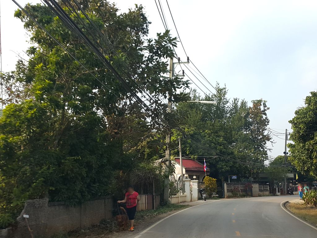ภาพถนนตรงที่ ร้าน ข้าหลวง ตั้งอยู่ ถ่ายโดย jrcarlsen พ.ศ. 2558 (2015) · A street-level view of where ร้าน ข้าหลวง · Ran Khaluang stands, by jrcarlsen in 2558 (2015)