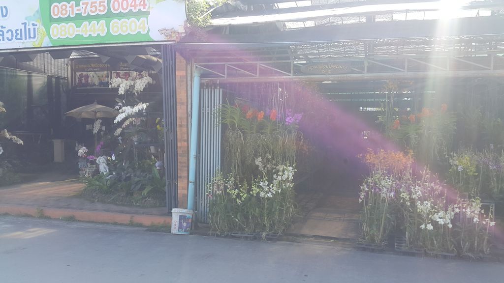 ภาพถนนตรงที่ สวนกล้วยไม้คุณนาย (Kunnai Orchid) ตั้งอยู่ ถ่ายโดย jrcarlsen พ.ศ. 2561 (2018) · A street-level view of where สวนกล้วยไม้คุณนาย (Kunnai Orchid) stands, by jrcarlsen in 2561 (2018)