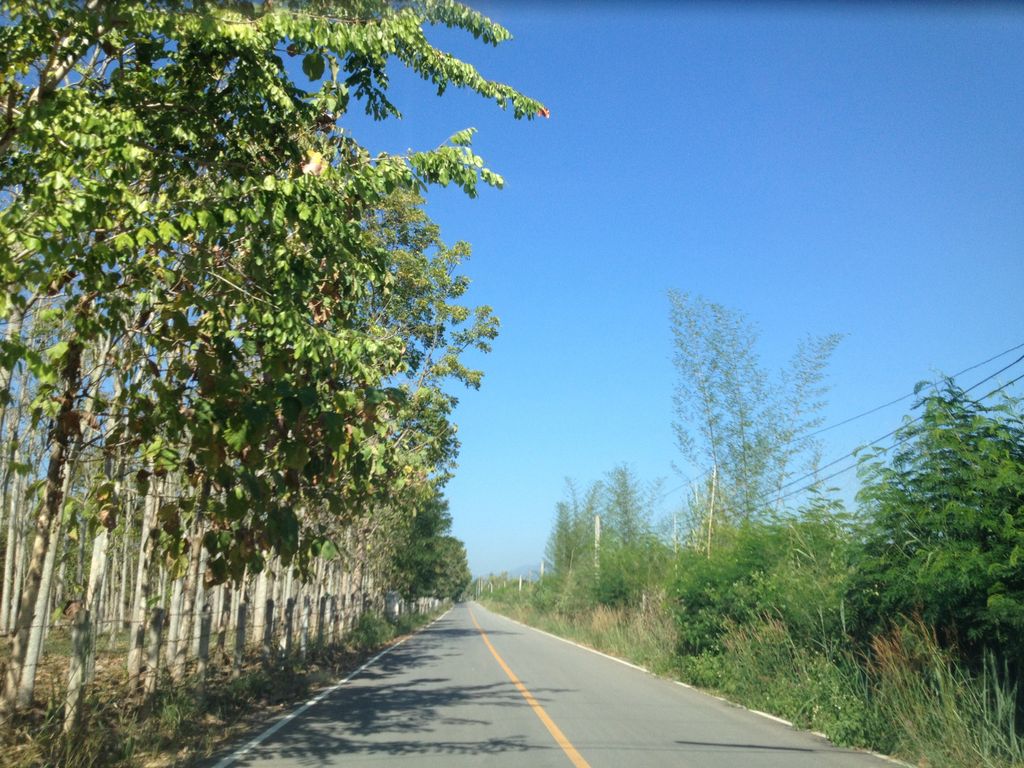ภาพถนนตรงที่ เซเว่นลุงช้าง ตั้งอยู่ ถ่ายโดย jimwatana พ.ศ. 2558 (2015) · A street-level view of where เซเว่นลุงช้าง · Seven Lungchang stands, by jimwatana in 2558 (2015)