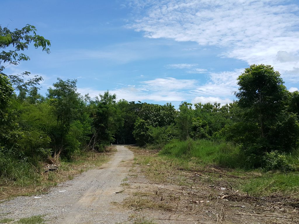 ภาพถนนตรงที่ B-Home บ่อสร้าง ตั้งอยู่ ถ่ายโดย jrcarlsen พ.ศ. 2558 (2015) · A street-level view of where B-Home บ่อสร้าง stands, by jrcarlsen in 2558 (2015)