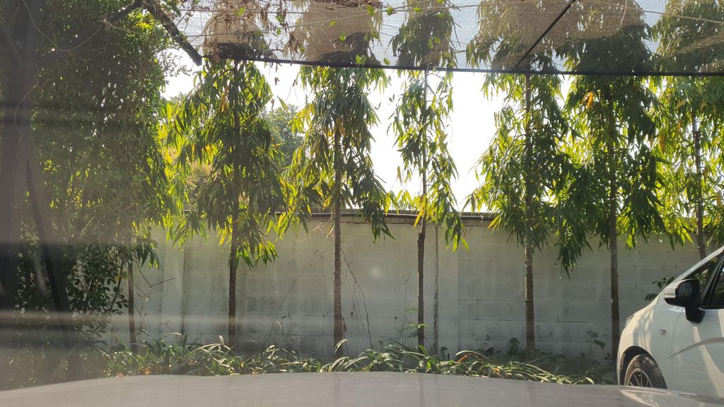 ภาพถนนตรงที่ Cloud9 Cafe’ ตั้งอยู่ ถ่ายโดย jrcarlsen พ.ศ. 2565 (2022) · A street-level view of where Cloud9 Cafe’ stands, by jrcarlsen in 2565 (2022)