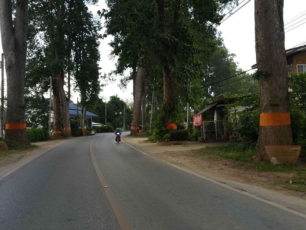 ภาพถนนตรงที่ ชิมชามะ ตั้งอยู่ ถ่ายโดย jrcarlsen พ.ศ. 2558 (2015) · A street-level view of where ชิมชามะ · Chimchama stands, by jrcarlsen in 2558 (2015)