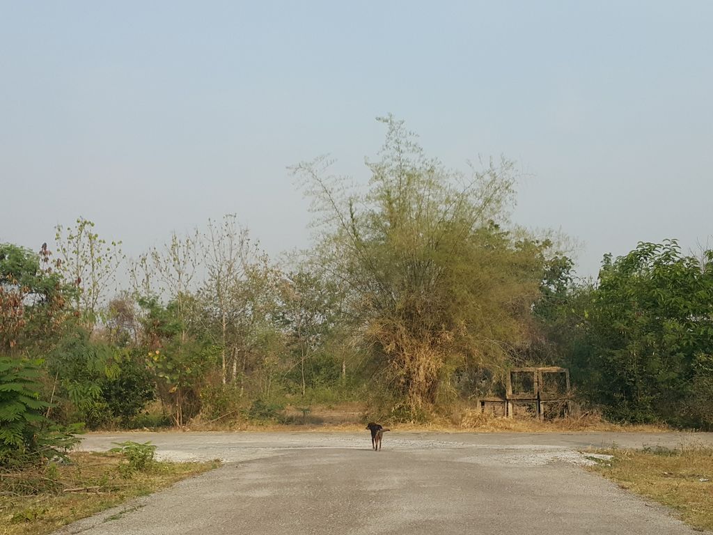ภาพถนนตรงที่ The Pool Terrace - สระว่ายน้ำสันกำแพง ตั้งอยู่ ถ่ายโดย jrcarlsen พ.ศ. 2559 (2016) · A street-level view of where The Pool Terrace - สระว่ายน้ำสันกำแพง stands, by jrcarlsen in 2559 (2016)