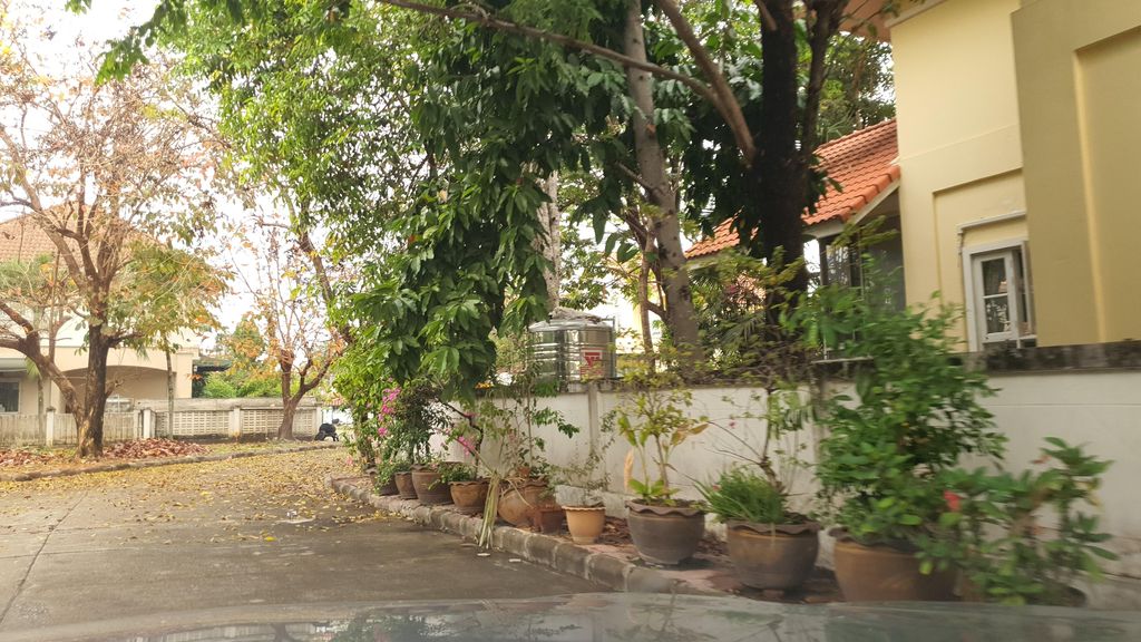 ภาพถนนตรงที่ โรงเรียนดนตรีและภาษาสยามผาสุก ตั้งอยู่ ถ่ายโดย jrcarlsen พ.ศ. 2565 (2022) · A street-level view of where โรงเรียนดนตรีและภาษาสยามผาสุก · Dontri Lae Phasa Sayam Pha Suk School stands, by jrcarlsen in 2565 (2022)