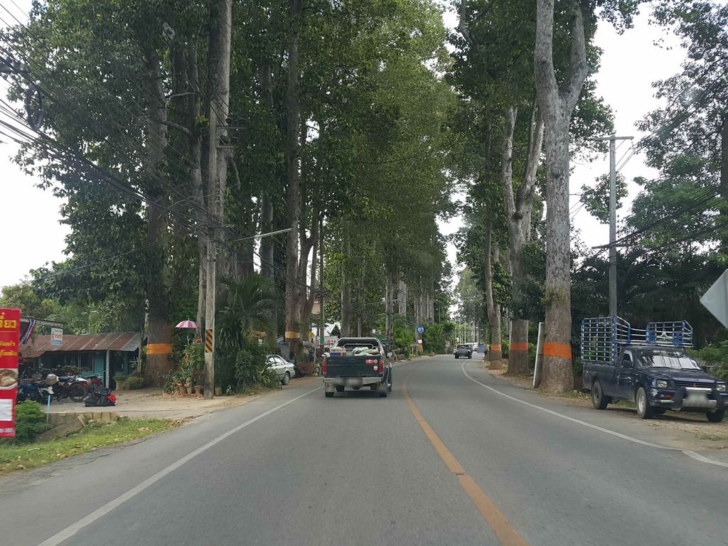 ภาพถนนตรงที่ ซ่อมรถจักรยานไฟฟ้าสามล้อไฟฟ้าสารภีเชียงใหม่ ตั้งอยู่ ถ่ายโดย jrcarlsen พ.ศ. 2558 (2015) · A street-level view of where ซ่อมรถจักรยานไฟฟ้าสามล้อไฟฟ้าสารภีเชียงใหม่ · Somrot Chakrayanfaifa Samlofaifa Saraphi Chiang Mai stands, by jrcarlsen in 2558 (2015)