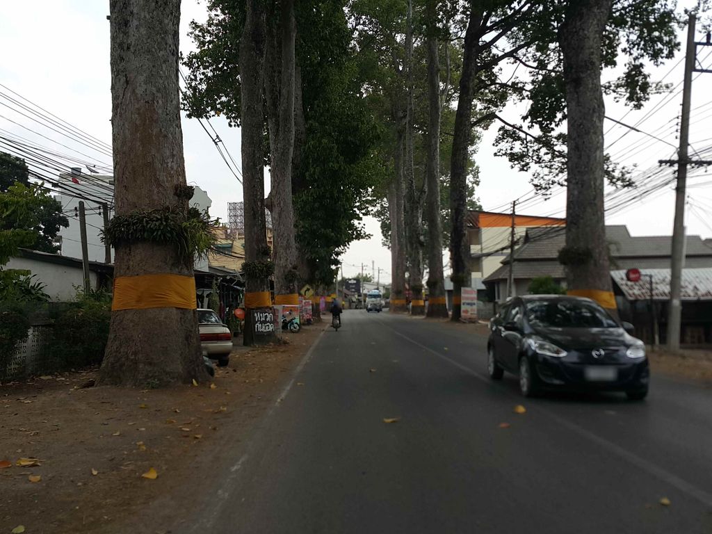 ภาพถนนตรงที่ ปุ๊ หนองผึ้ง หม้อน้ำ ตั้งอยู่ ถ่ายโดย jrcarlsen พ.ศ. 2558 (2015) · A street-level view of where ปุ๊ หนองผึ้ง หม้อน้ำ · Pu Nong Phueng Monam stands, by jrcarlsen in 2558 (2015)