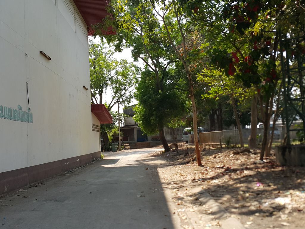 ภาพถนนตรงที่ ชมรมกีฬายิมนาสติกเชียงใหม่ Chiang Mai gymnastics club ตั้งอยู่ ถ่ายโดย jrcarlsen พ.ศ. 2558 (2015) · A street-level view of where ชมรมกีฬายิมนาสติกเชียงใหม่ Chiang Mai gymnastics club stands, by jrcarlsen in 2558 (2015)
