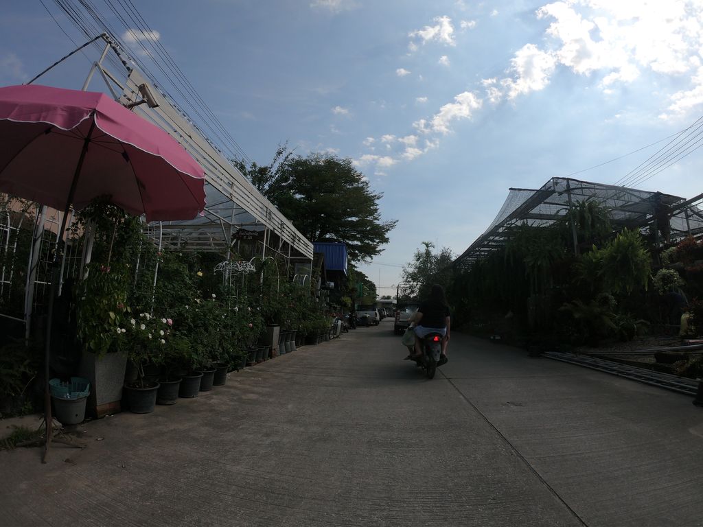 ภาพถนนตรงที่ สวนจรรยารักษ์ ตั้งอยู่ ถ่ายโดย chanuwath_grab พ.ศ. 2562 (2019) · A street-level view of where สวนจรรยารักษ์ · Chanya Rak Garden stands, by chanuwath_grab in 2562 (2019)