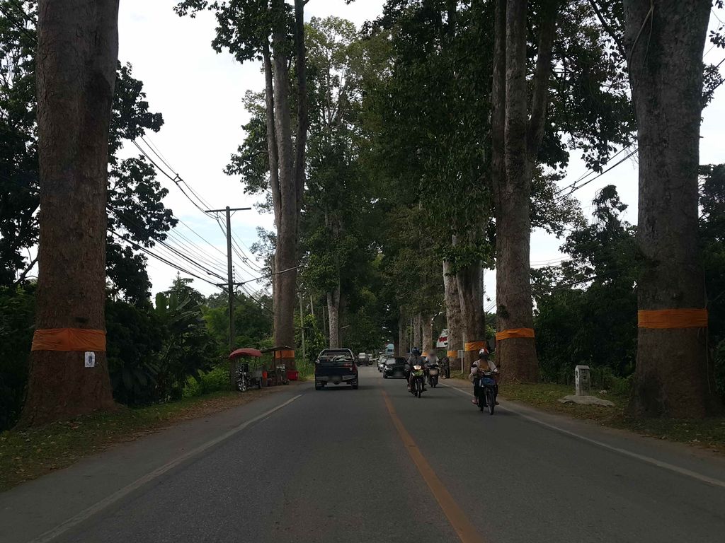 ภาพถนนตรงที่ บ้านดาวทะเลซีฟู้ด ตั้งอยู่ ถ่ายโดย jrcarlsen พ.ศ. 2558 (2015) · A street-level view of where บ้านดาวทะเลซีฟู้ด · Ban Dao Thalesifut stands, by jrcarlsen in 2558 (2015)