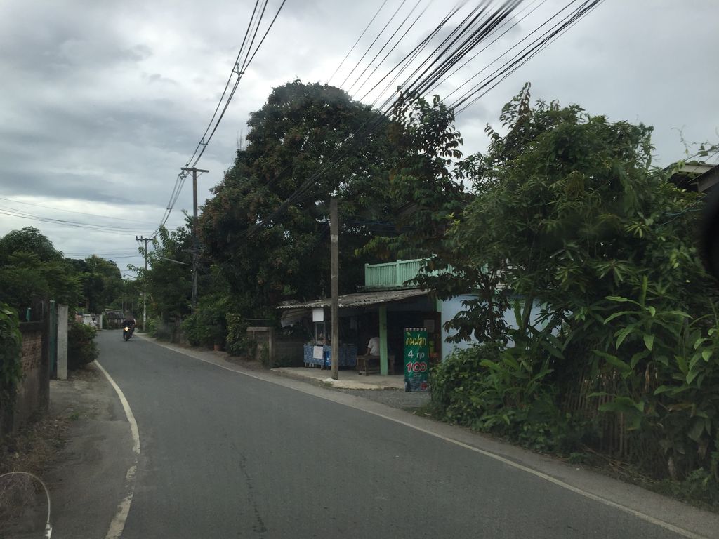 ภาพถนนตรงที่ น้ำตกแม่วอง ตั้งอยู่ ถ่ายโดย kyoko พ.ศ. 2561 (2018) · A street-level view of where น้ำตกแม่วอง · Maeoong Waterfall stands, by kyoko in 2561 (2018)