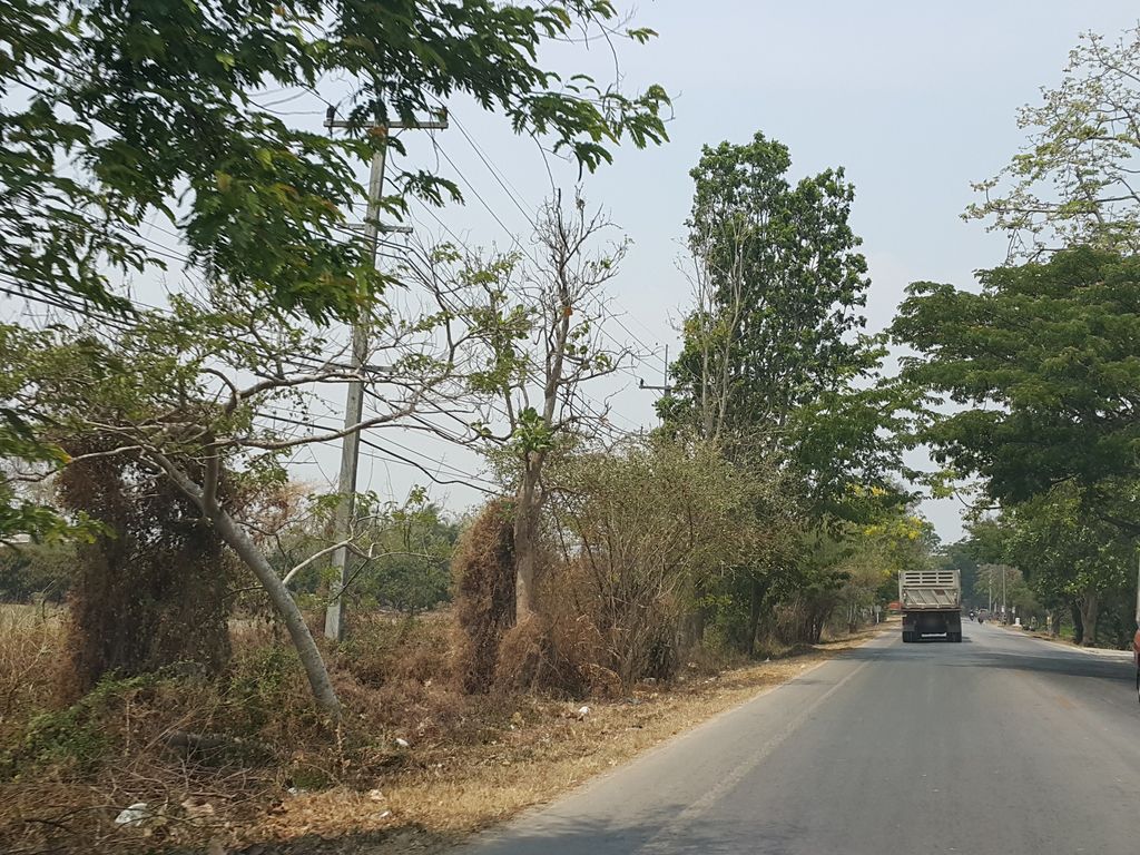 ภาพถนนตรงที่ ร่มหลวงมิตรเกษตร ตั้งอยู่ ถ่ายโดย jrcarlsen พ.ศ. 2559 (2016) · A street-level view of where ร่มหลวงมิตรเกษตร · Rom Luang Mitraketta stands, by jrcarlsen in 2559 (2016)