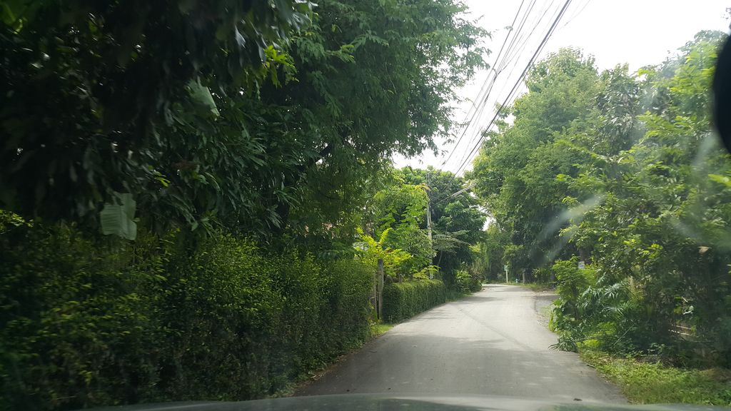 ภาพถนนตรงที่ กระถางปูน .Treelove สันกำแพงเชียงใหม่ ตั้งอยู่ ถ่ายโดย jrcarlsen พ.ศ. 2561 (2018) · A street-level view of where กระถางปูน .Treelove สันกำแพงเชียงใหม่ stands, by jrcarlsen in 2561 (2018)