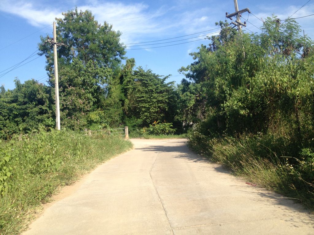 ภาพถนนตรงที่ ริมน้ำ ท่าฟ้าผ่า ตั้งอยู่ ถ่ายโดย jimwatana พ.ศ. 2558 (2015) · A street-level view of where ริมน้ำ ท่าฟ้าผ่า · Rimnam Tha Fapha stands, by jimwatana in 2558 (2015)