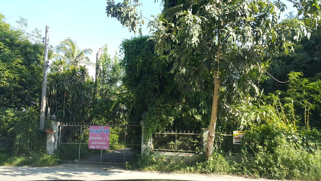 ภาพถนนตรงที่ Greenery Homestay ตั้งอยู่ ถ่ายโดย jrcarlsen พ.ศ. 2559 (2016) · A street-level view of where Greenery Homestay stands, by jrcarlsen in 2559 (2016)