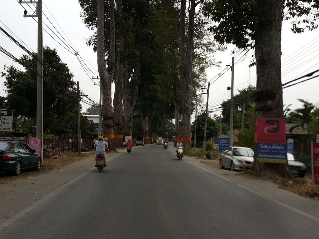ภาพถนนตรงที่ ไทยศิริ ตั้งอยู่ ถ่ายโดย jrcarlsen พ.ศ. 2557 (2014) · A street-level view of where ไทยศิริ · Thaisiri stands, by jrcarlsen in 2557 (2014)