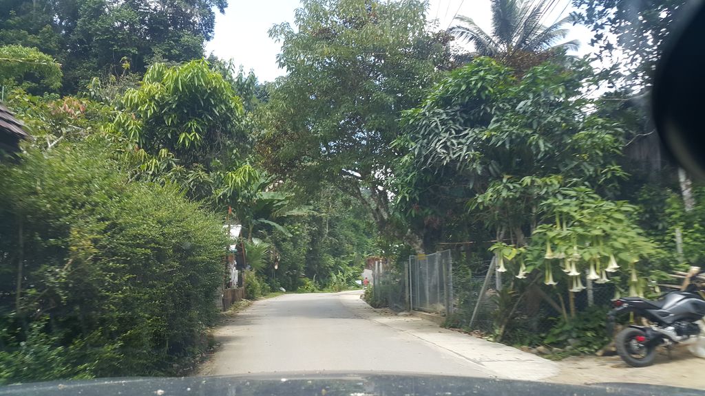 ภาพถนนตรงที่ บ้านคุณย่าโฮมสเตย์ Baan Khunya Homestay ตั้งอยู่ ถ่ายโดย jrcarlsen พ.ศ. 2561 (2018) · A street-level view of where บ้านคุณย่าโฮมสเตย์ Baan Khunya Homestay stands, by jrcarlsen in 2561 (2018)